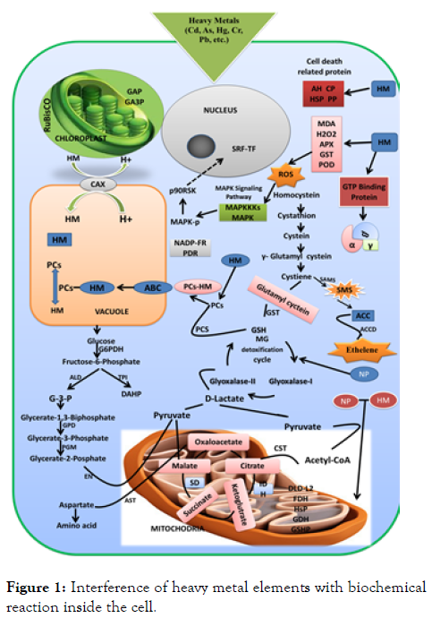 international-journal-waste-resources-interference