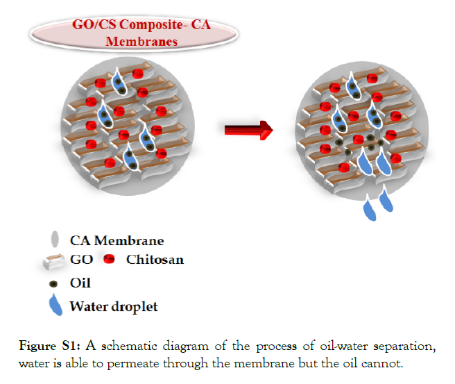 international-journal-waste-resources-membrane