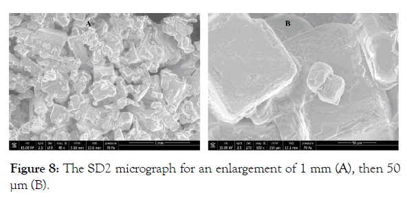 international-journal-waste-resources-micrograph