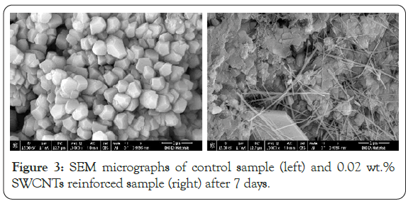 international-journal-waste-resources-micrographs