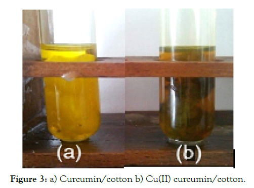 nanomedicine-nanotechnology-Curcumin