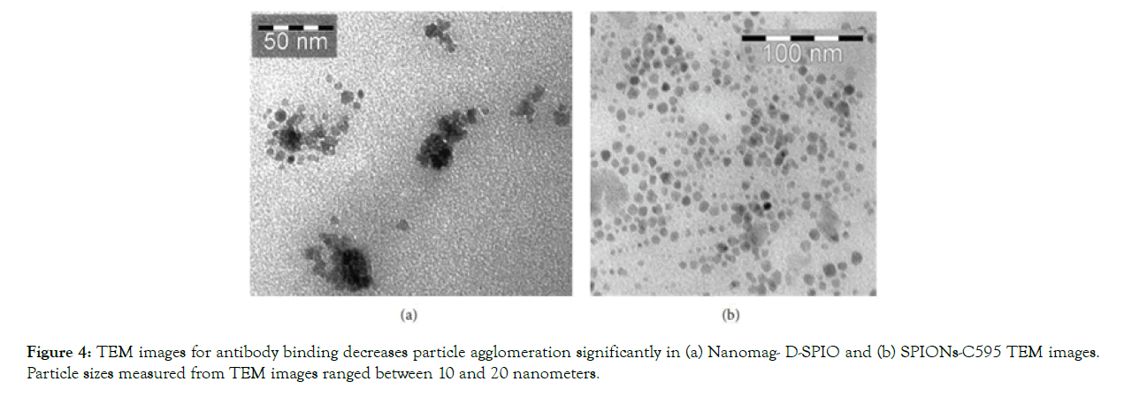 nanomedicine-nanotechnology-agglomeration