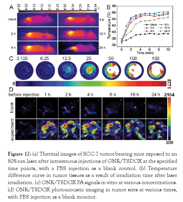 nanomedicine-nanotechnology-blank