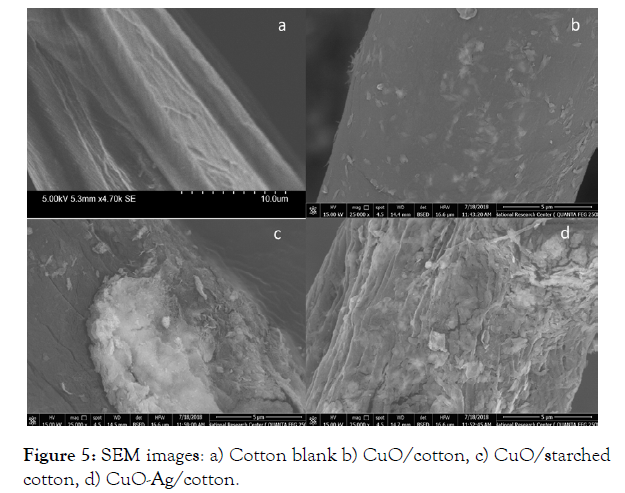 nanomedicine-nanotechnology-blank