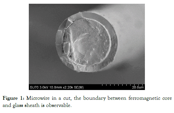 nanomedicine-nanotechnology-boundary