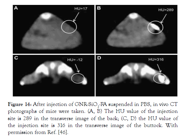 nanomedicine-nanotechnology-buttock