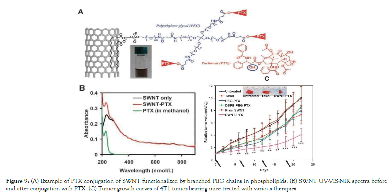 nanomedicine-nanotechnology-conjugation