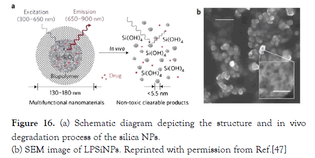 nanomedicine-nanotechnology-depicting