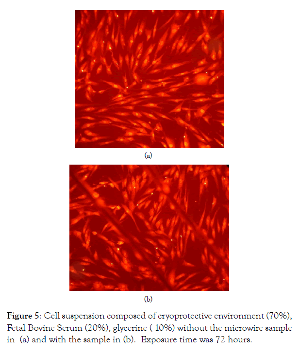 nanomedicine-nanotechnology-environment