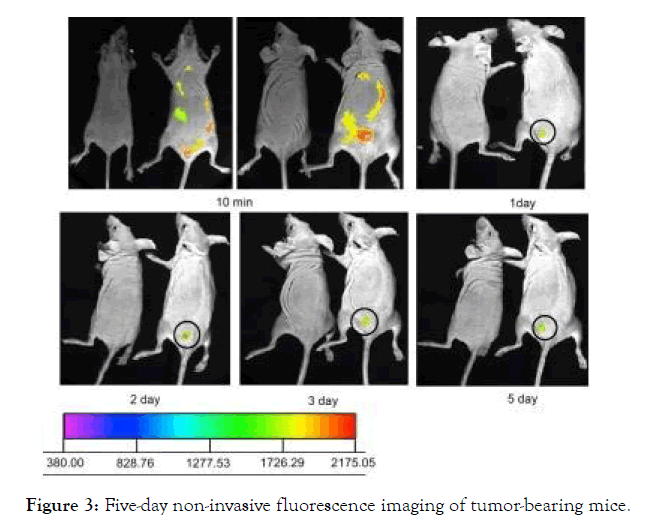 nanomedicine-nanotechnology-imaging