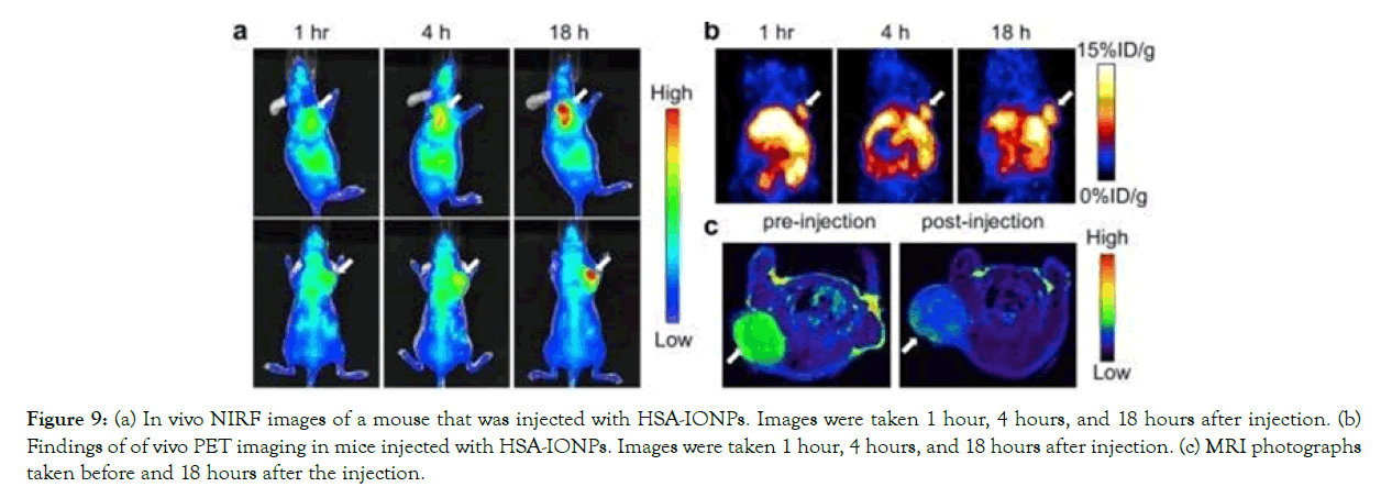 nanomedicine-nanotechnology-injection