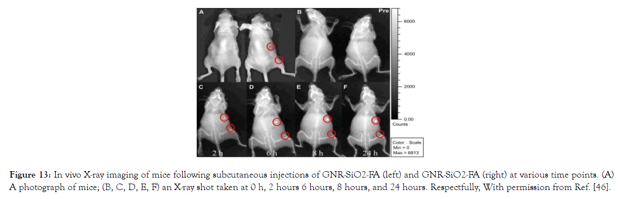 nanomedicine-nanotechnology-injections