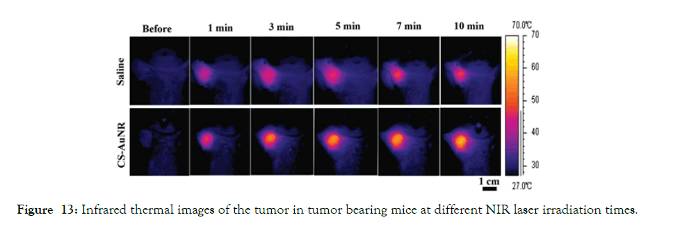 nanomedicine-nanotechnology-irradiation