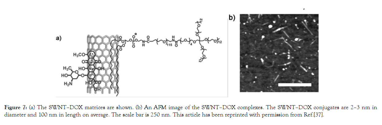 nanomedicine-nanotechnology-matrices