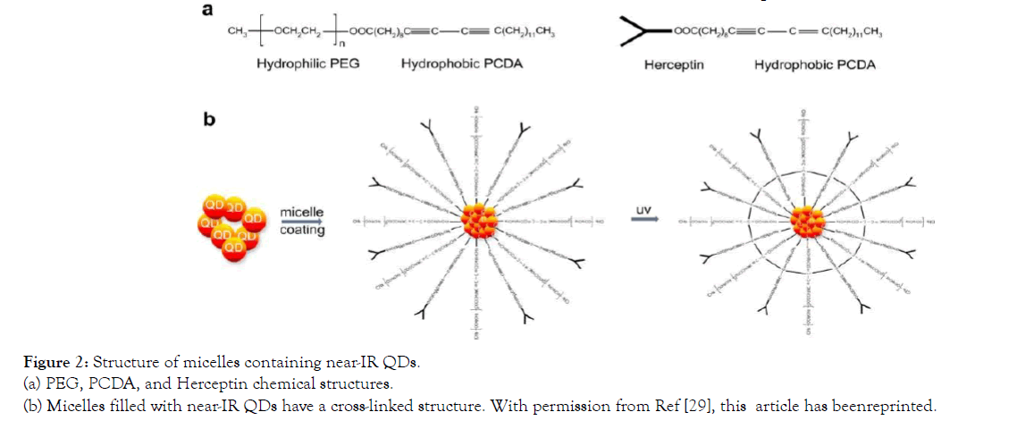 nanomedicine-nanotechnology-micelles