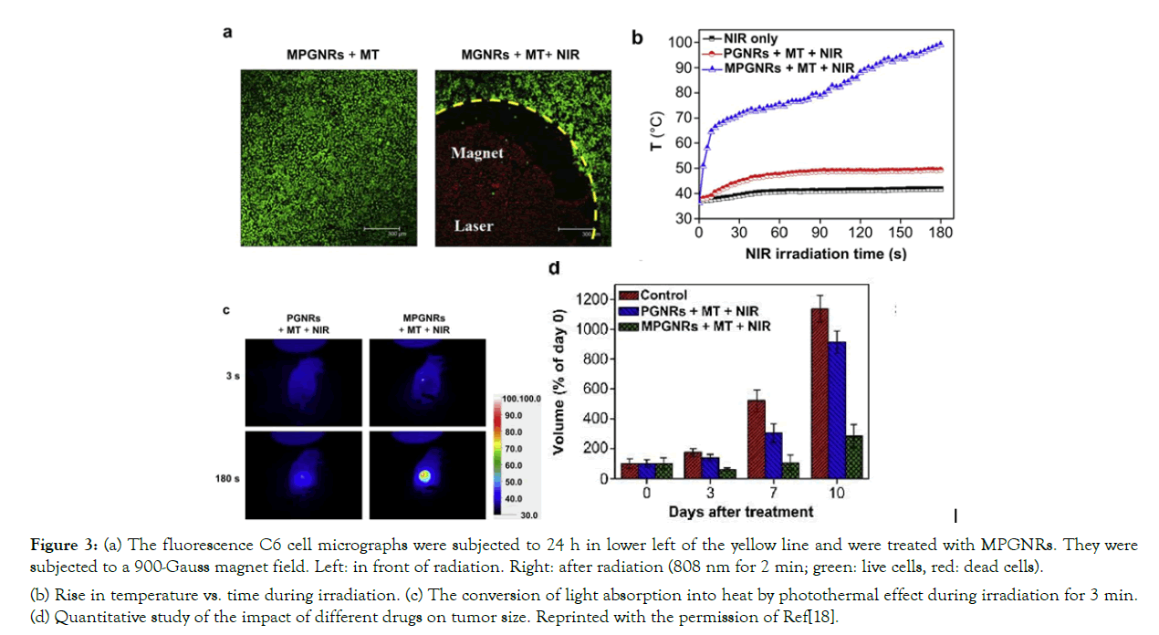 nanomedicine-nanotechnology-micrographs