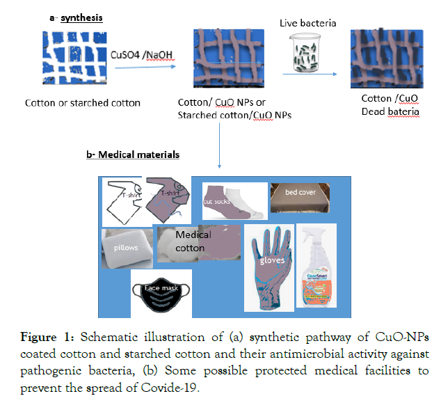 nanomedicine-nanotechnology-pathway