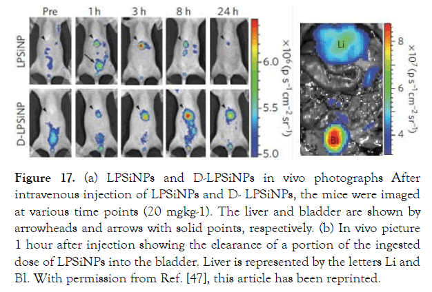 nanomedicine-nanotechnology-points