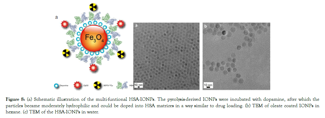 nanomedicine-nanotechnology-pyrolysis