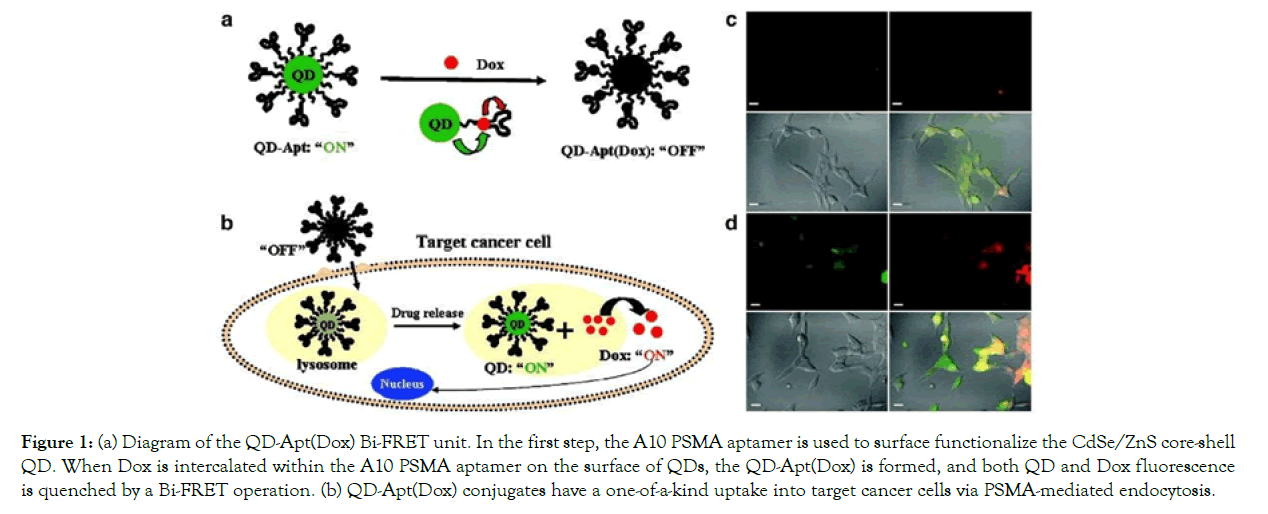 nanomedicine-nanotechnology-unit