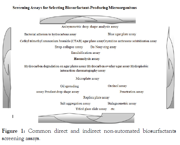 petroleum-environmental-biotechnology-biosurfactants