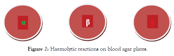 petroleum-environmental-biotechnology-haemolytic-reactions