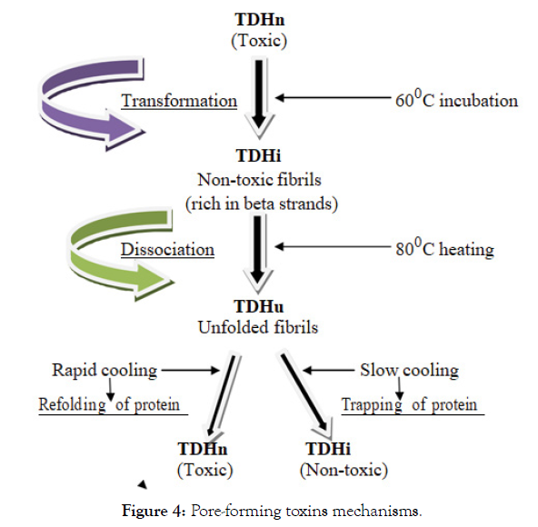 petroleum-environmental-biotechnology-toxins-mechanisms