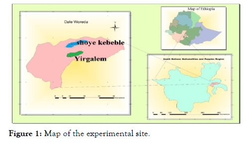 petroleum-environmental-experimental-site