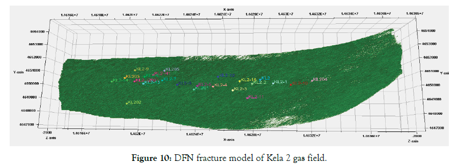 petroleum-environmental-fracture-model