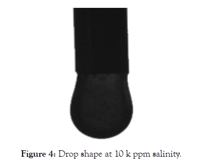 petroleum-environmental-salinity