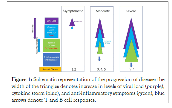 pharmacology-representation