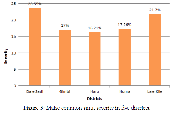 plant-pathlogy-microbiology-smut-severity