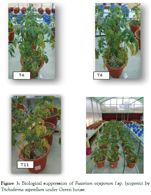 plant-pathology-biological-suppression