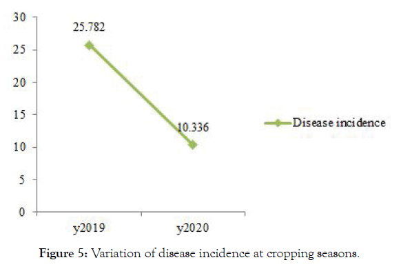 plant-pathology-cropping-seasons