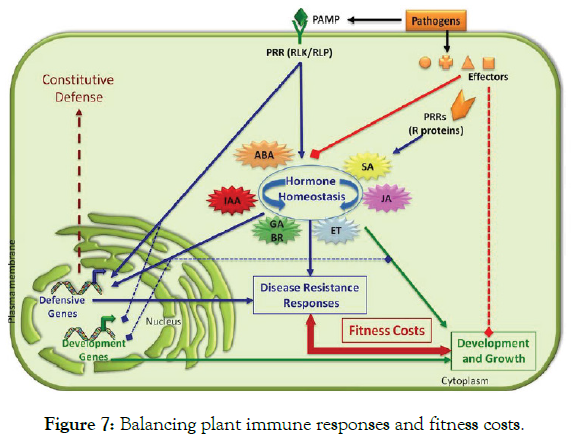 plant-pathology-immune-responses