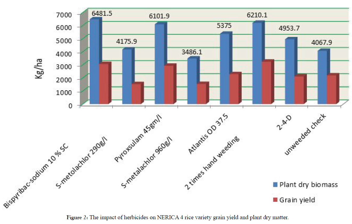 plant-pathology-impact-herbicides