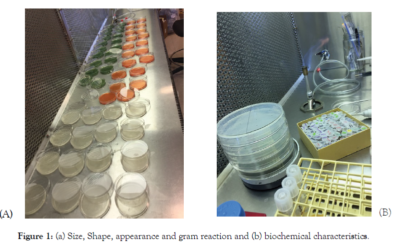 plant-pathology-microbiology-biochemical