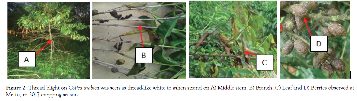 plant-pathology-microbiology-cropping-season