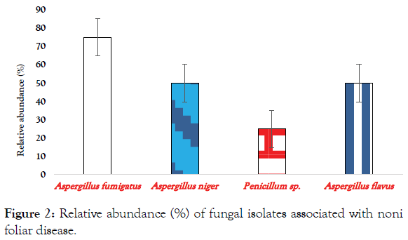 plant-pathology-microbiology-isolates