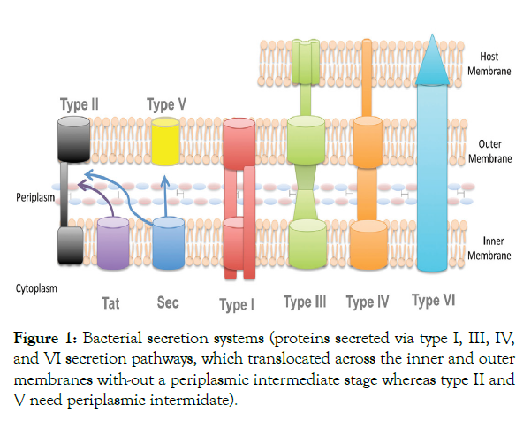 plant-pathology-secretion-systems