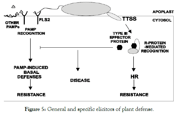 plant-pathology-specific-elicitors