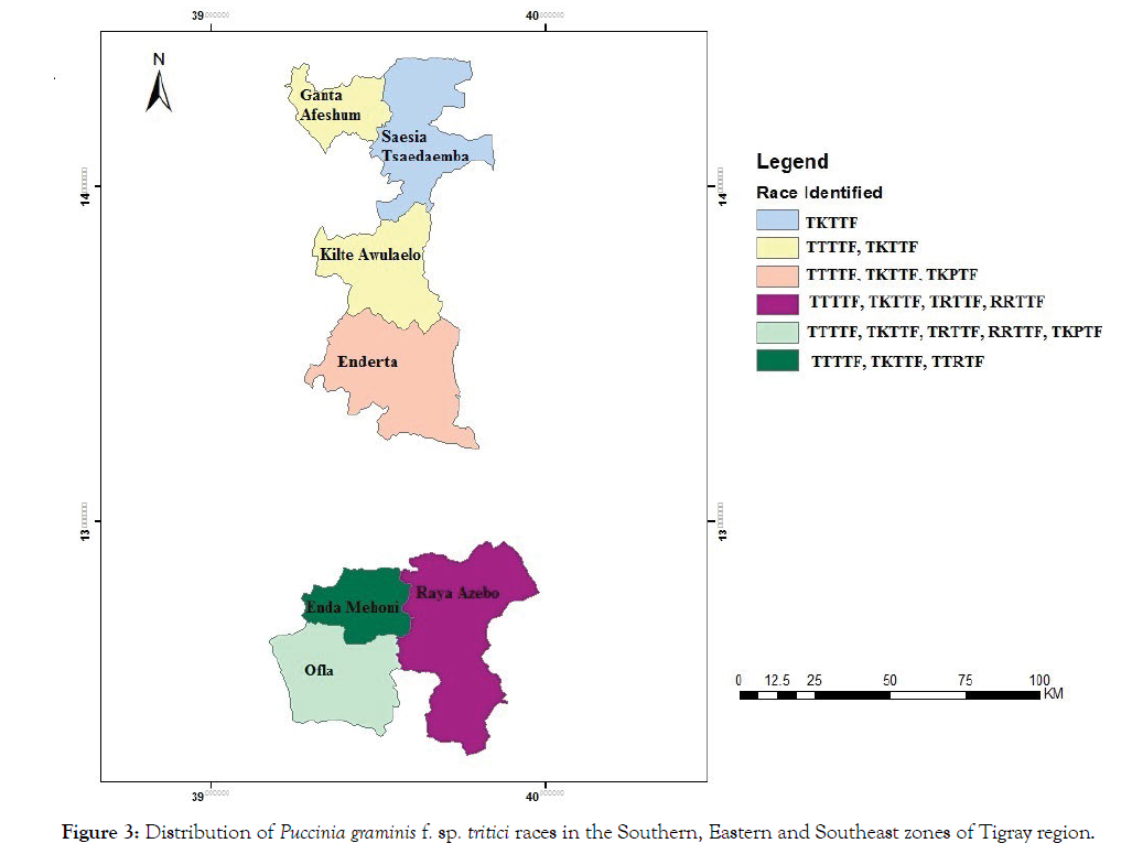 plant-pathology-tigray-region