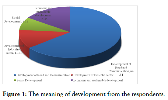 public-administration-management-development