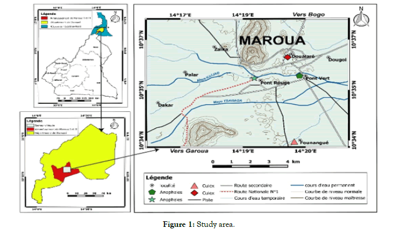 tropical-disease-Study-area