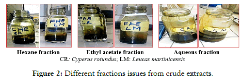 tropical-disease-crude-extracts