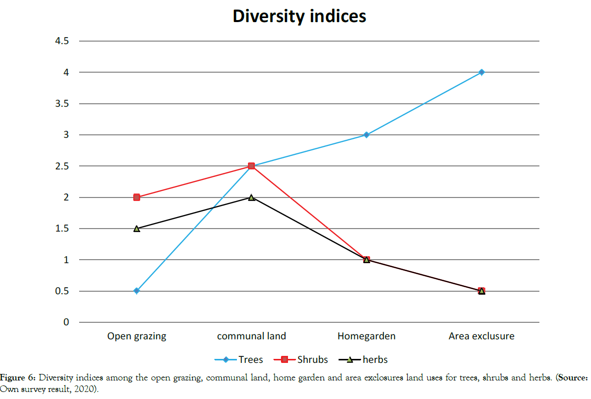 Diversity