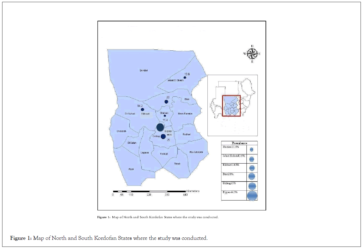 Kordofan