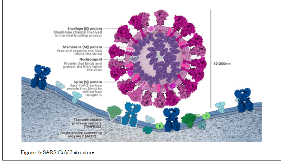 biochemistry-sars