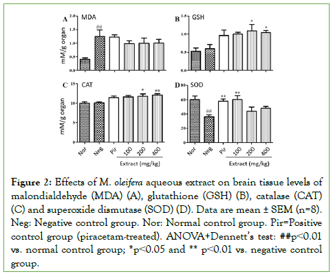 biology-and-medicine-brain