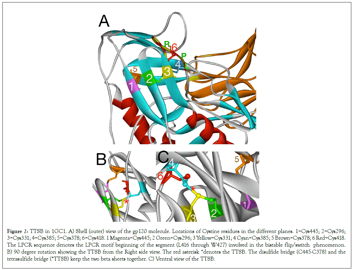 clinical-medical-molecule